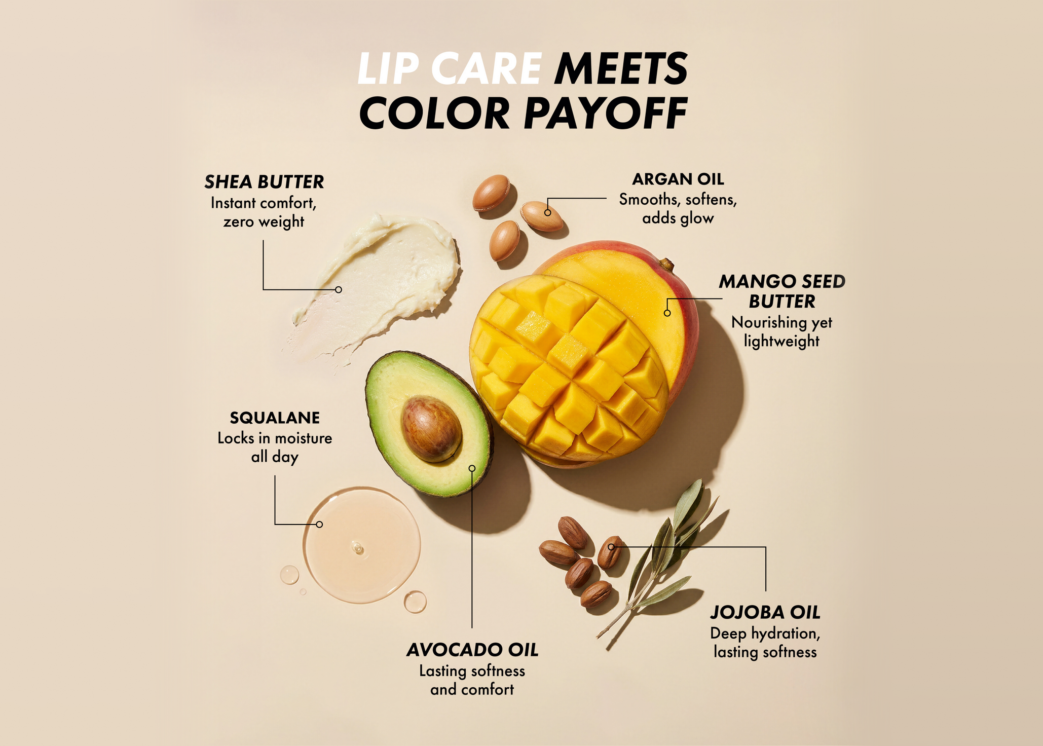 Lip care ingredients including shea butter, argan oil, mango seed butter, jojoba oil, avocado oil, and squalane